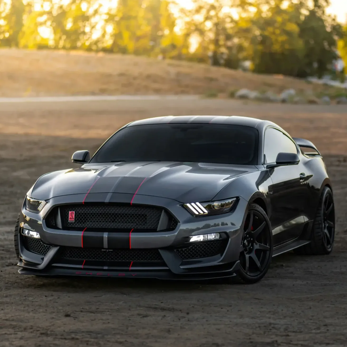 Mustang Window Tinting Experts