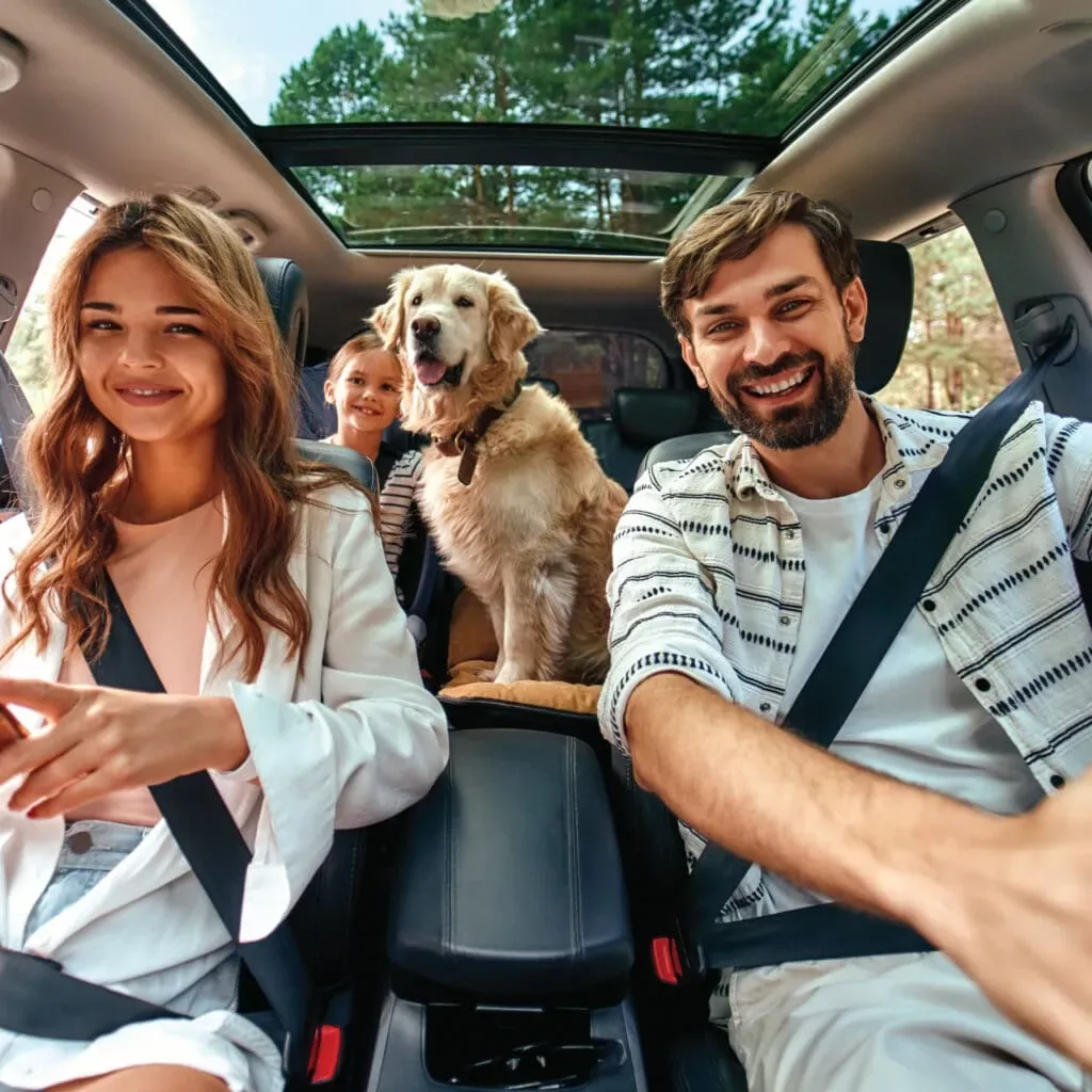 Illustration of the same family and dog inside a car with lighter glass overhead.