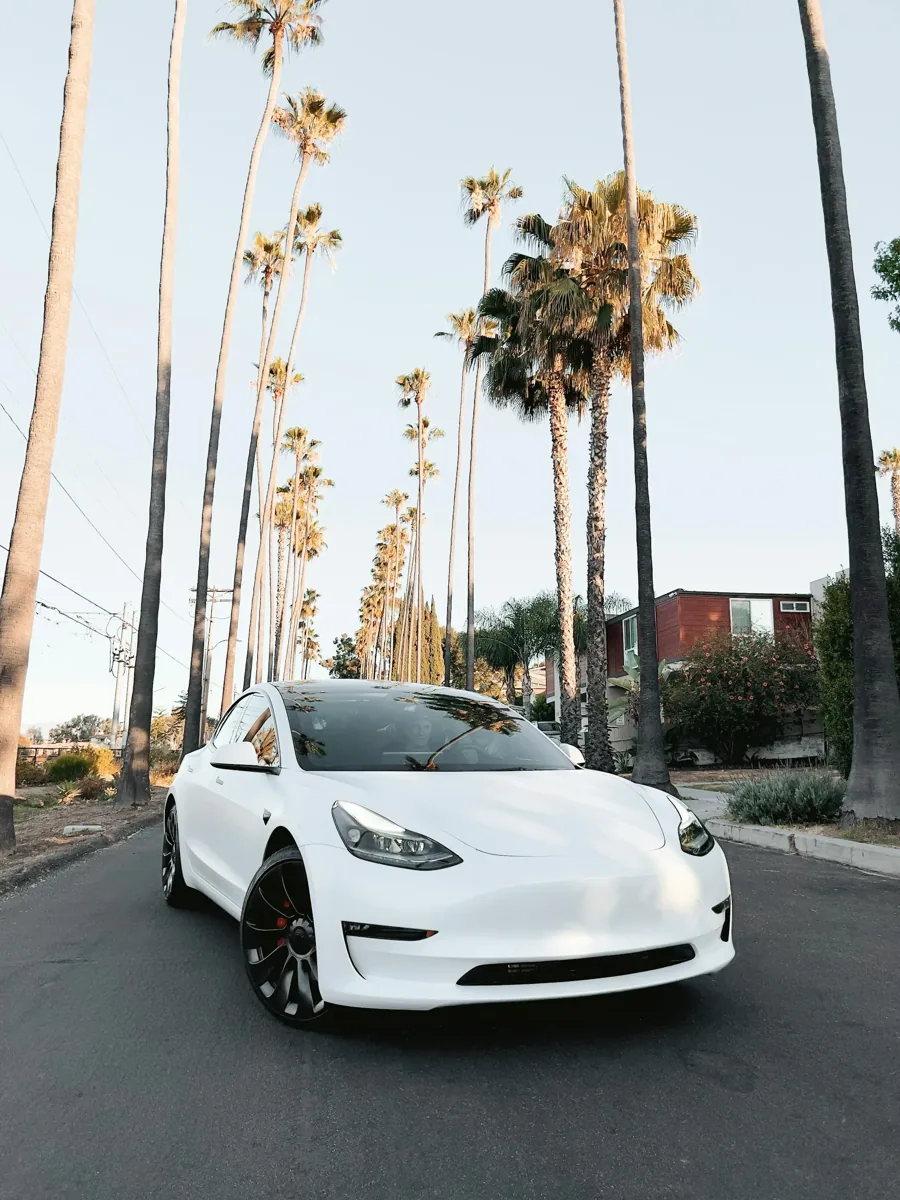 White Tesla Model 3 parked on a palm-lined street.