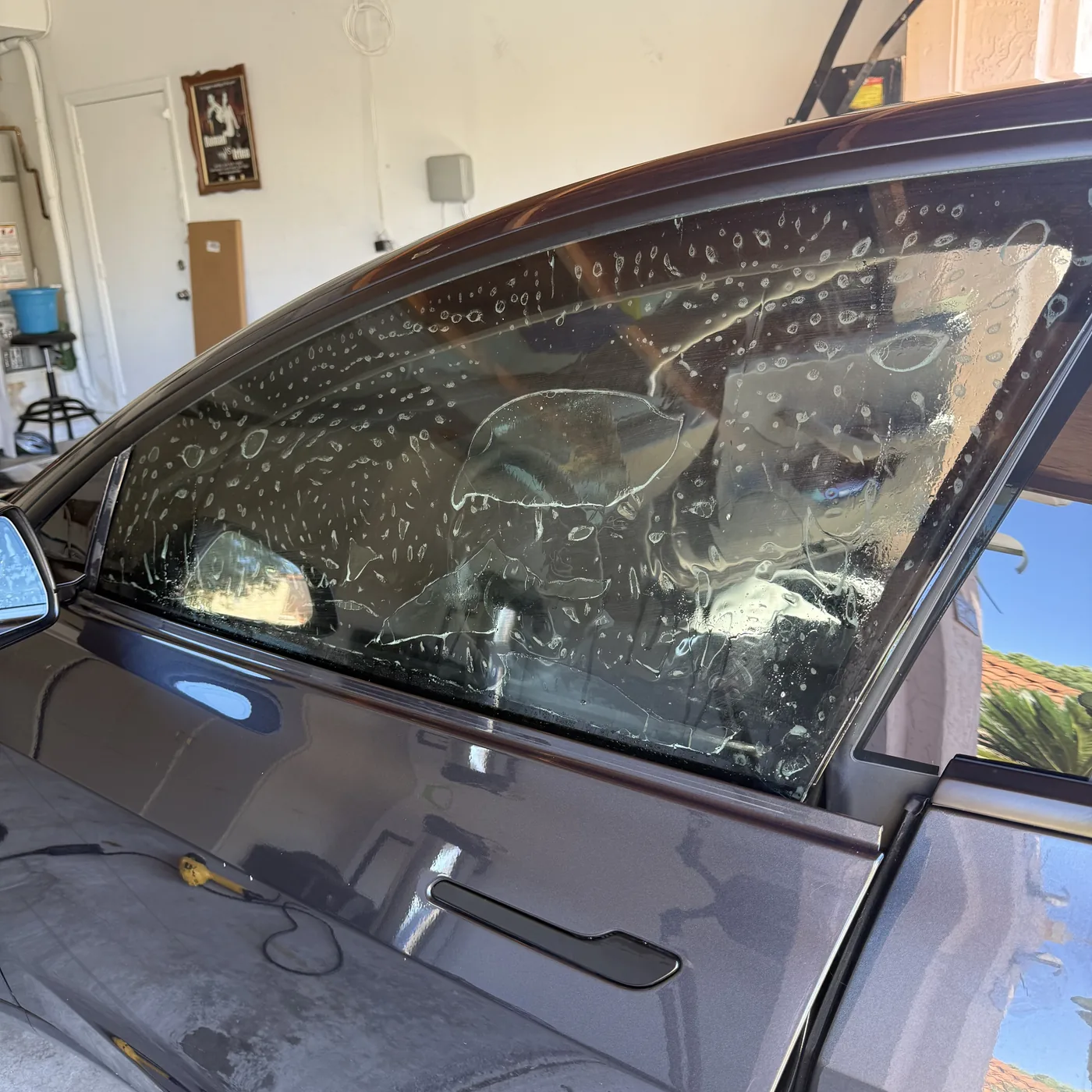 Rear Window Tesla Tesla Model 3 Window Tint | San Diego Best Tint